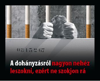Hungary 2012 Addiction - lived experience, clever